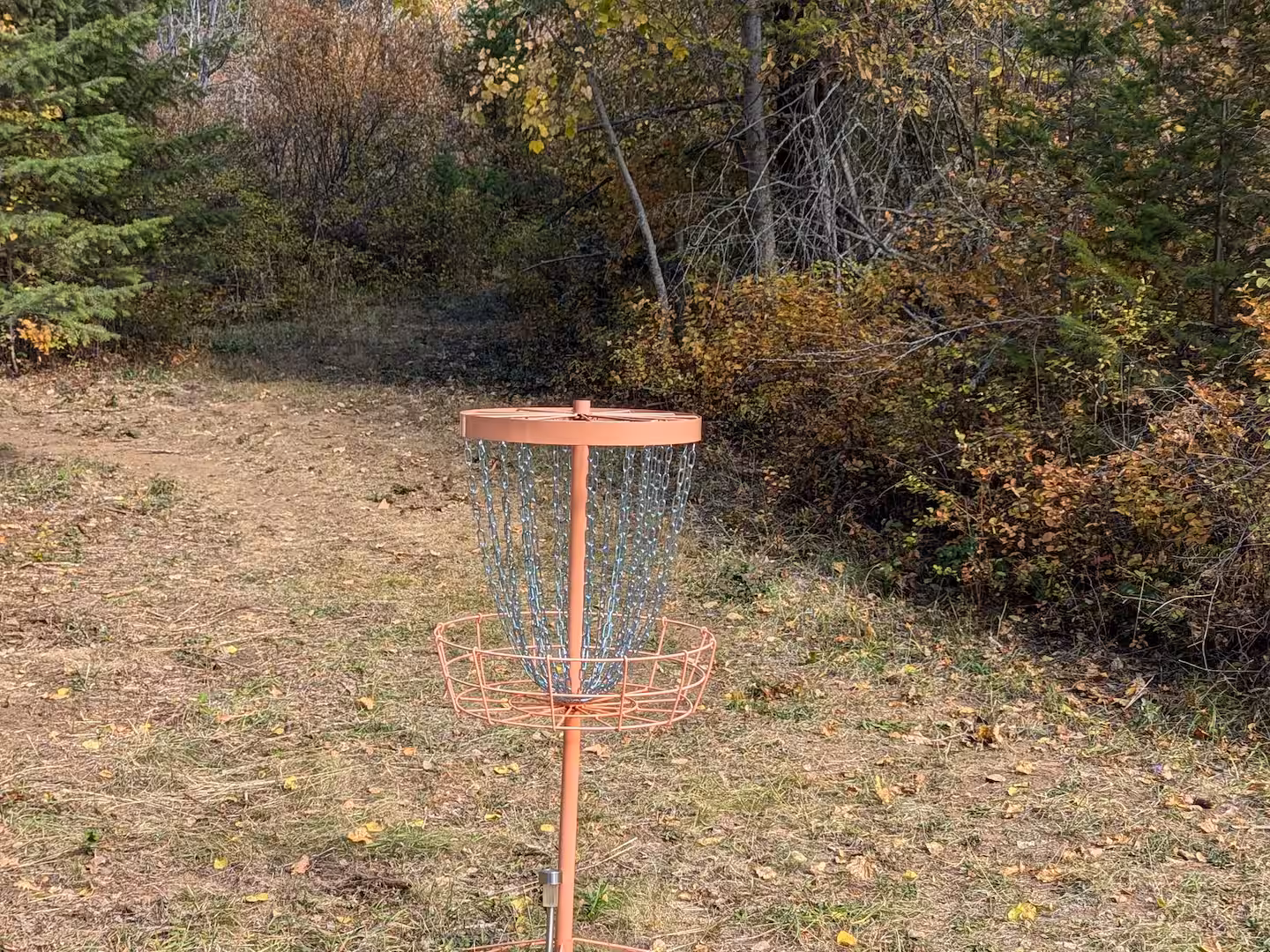 Disc Golf Basket